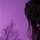 Hellhound