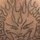 joppe87