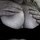 mirella