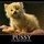 pussycat_mjauuu