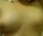 sdele