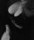 neiti_huu