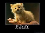 pussycat_mjauuu